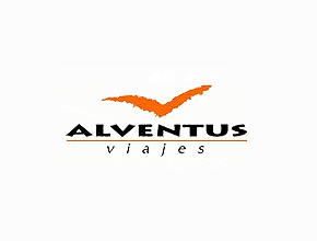 Diseño banner - Alventus